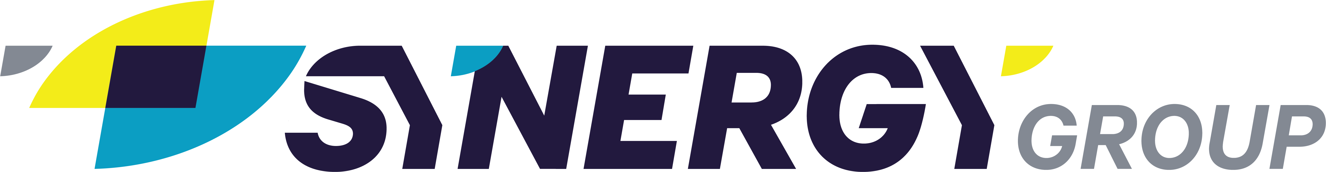 Synergy Group Logo 2024